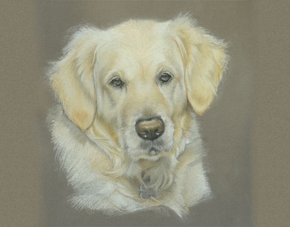 'Tansy'<br>Pastel 13x14in